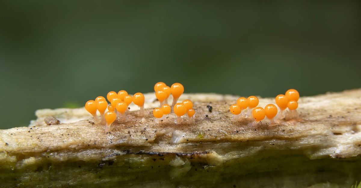 Men qiz dostimning sikilishiga erinaman Onlayn porno video yozuvlar